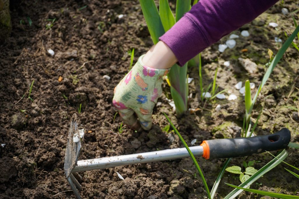 Junges Lipperreiher GartenhilfeTeam