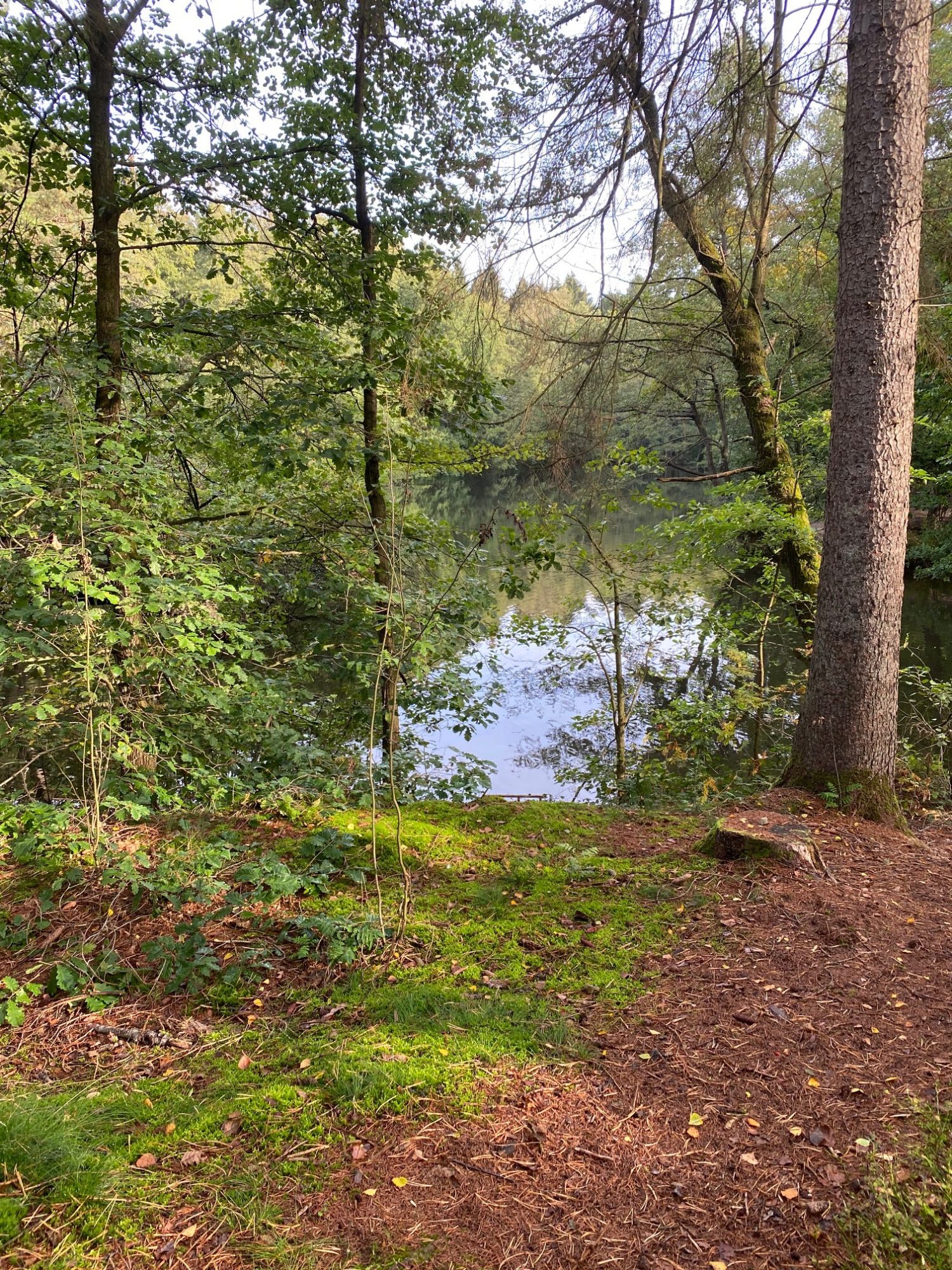 Der Dalbker Bach